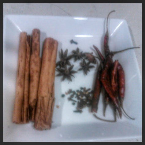 Mayan Spice Blend