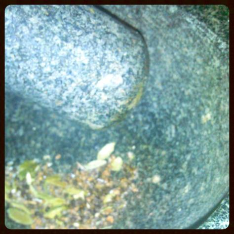 Cardamom in Mocajete